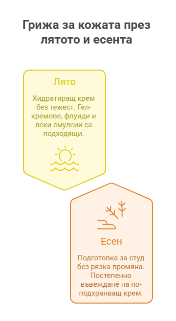 Как да изберем правилния крем за лице според сезона 9 Инфографика за крем за лице според сезона, представяща леки флуиди за лятото и подхранваща грижа за есента.