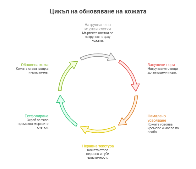 Скраб за тяло: как да ексфолираме правилно и кой тип е подходящ за кожата 9 цикъл на обновяване на кожата